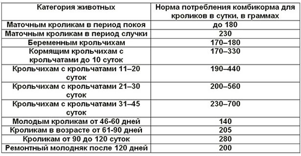Сколько комбикорма съедает кролик в день: суточная норма от рождения до забоя