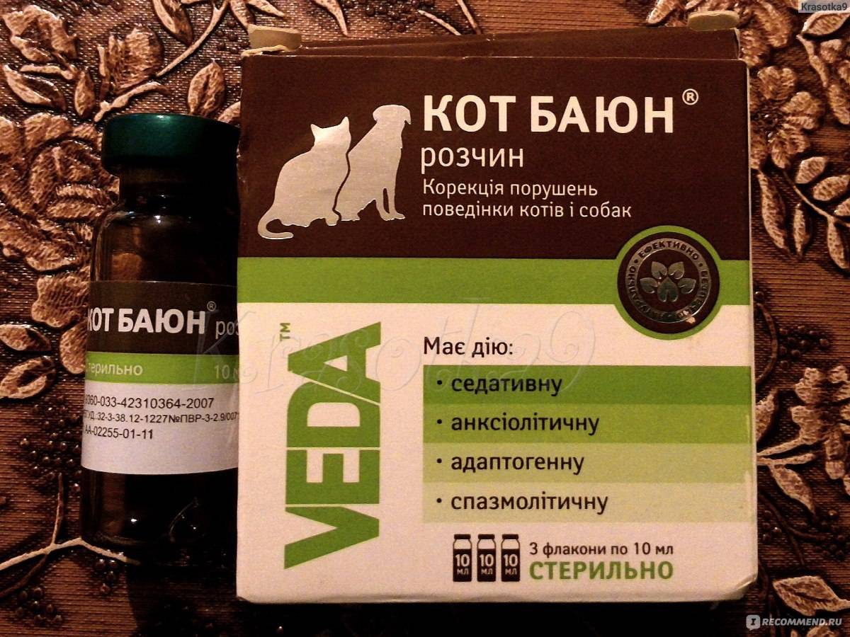 Успокоительное для кошек: капли, спрей, таблетки, уколы, отзывы