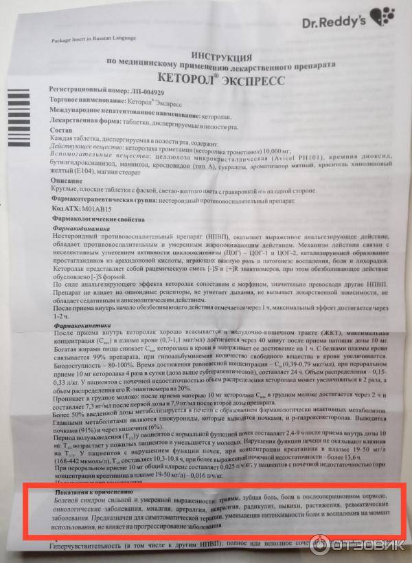 Обезболивающие для кошек (что нельзя давать)_ | wwwcat.ru