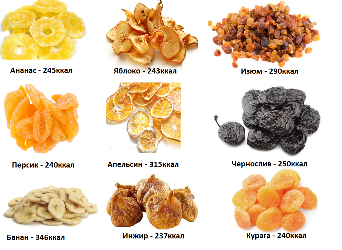 Джунгарские хомяки: питание