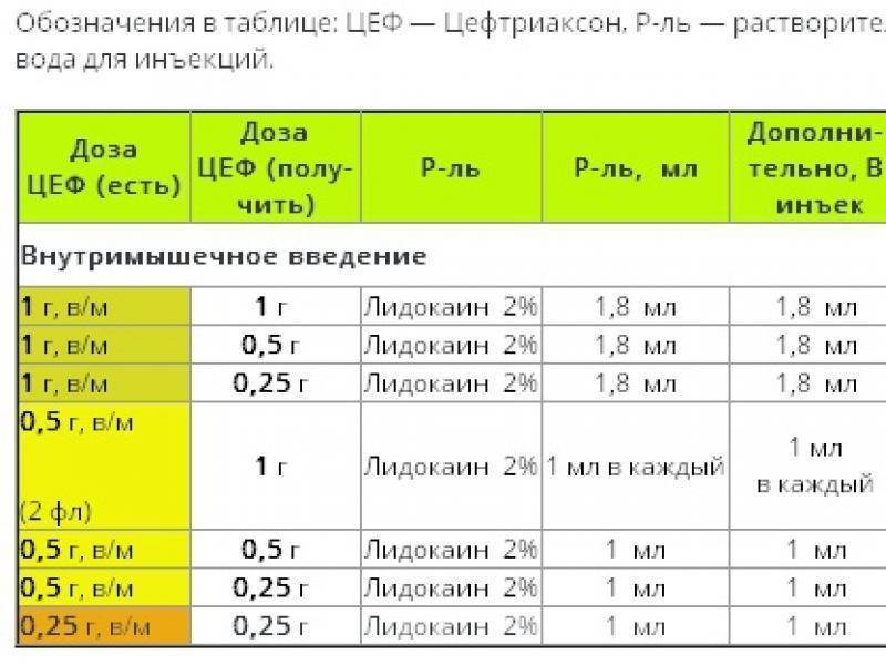 Дексаметазон для кошек: описание, для чего нужен, инструкция, дозировка, противопоказания