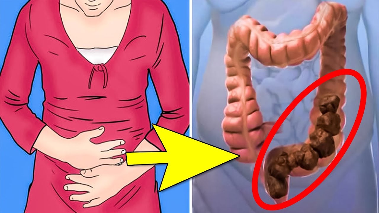 ᐉ морская свинка не ест и не пьет - zoomanji.ru