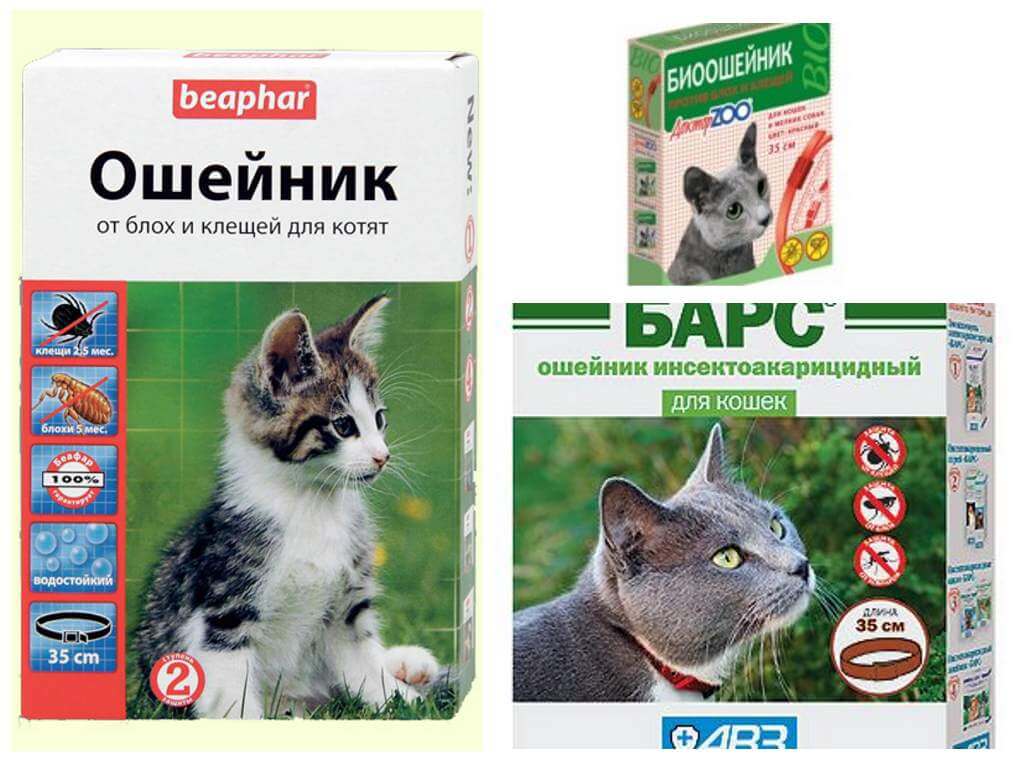 Ошейник от блох: виды и особенности, принцип действия, обзор