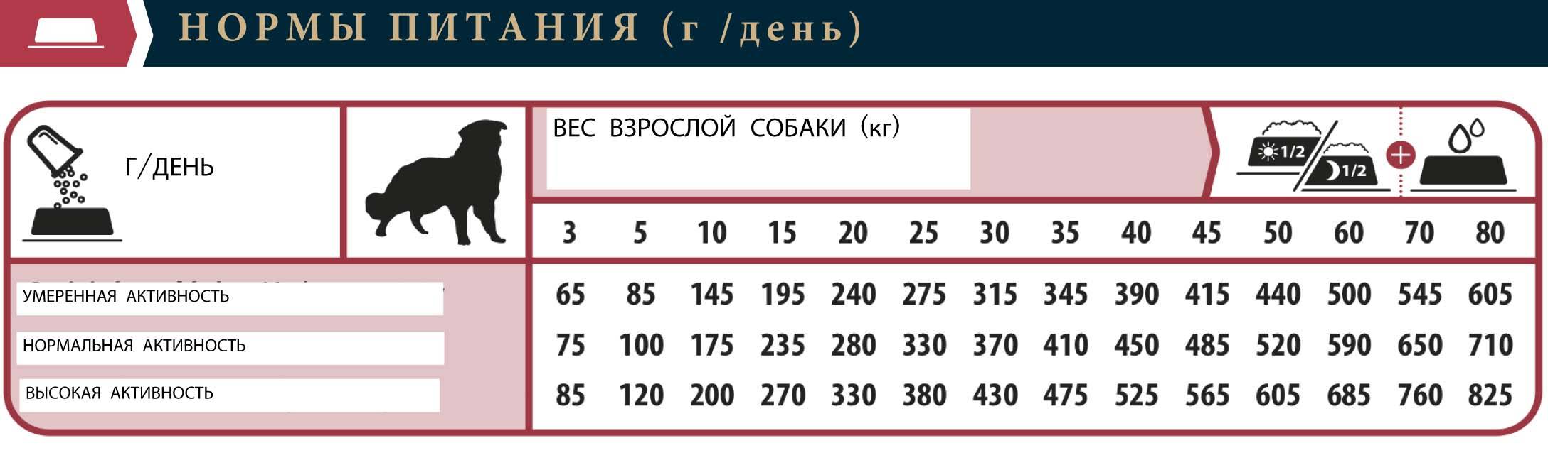 Дрессировка собак с передержкой у кинолога