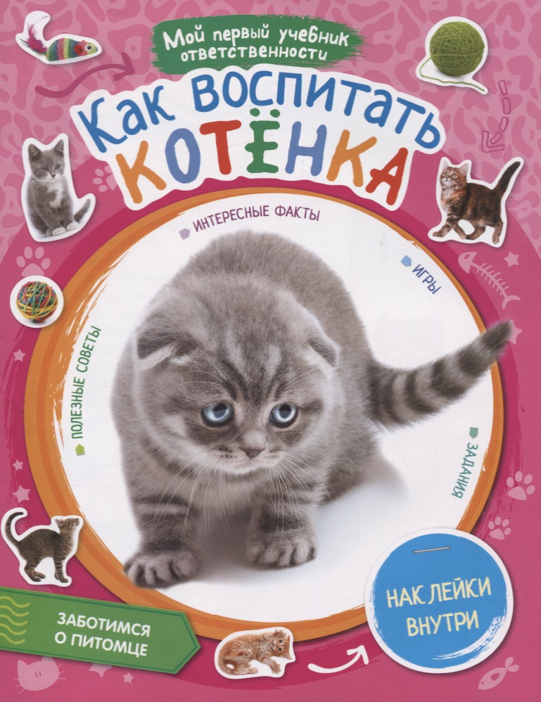 Как воспитывать кошку в домашних условияхтобы сделать ласковой