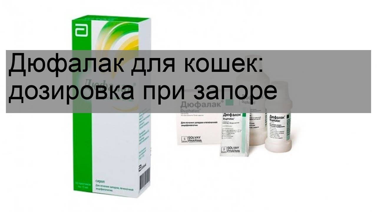 Дюфалак для кошек, дозировка при запоре: как давать препарат коту или котенку?