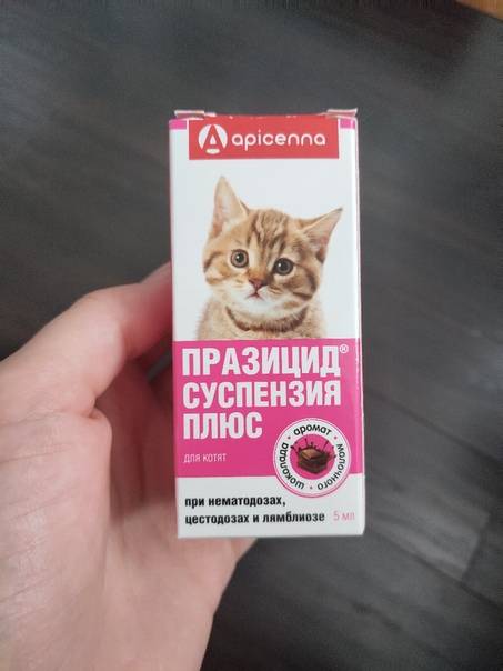 Лучшие препараты от глистов для кошек широкого спектра - kupipet.ru