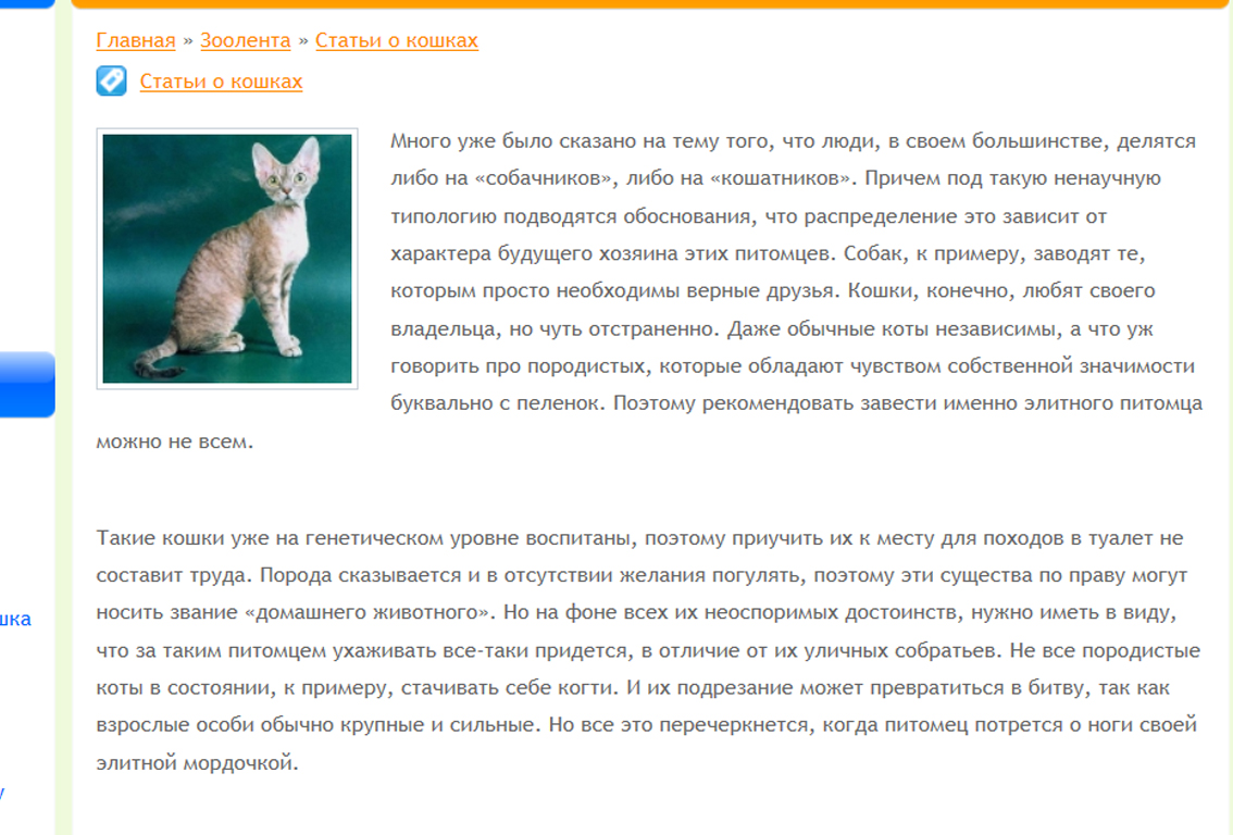 Как воспитывать котенка, чтобы он был ласковым и спокойным: правила воспитания котов и кошек