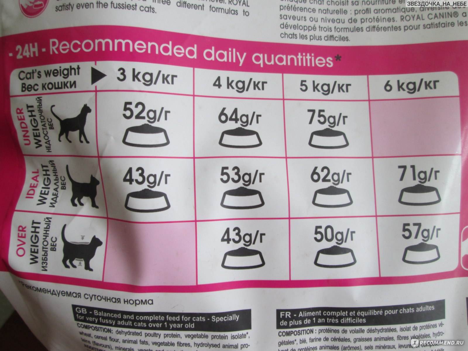 Корма для пожилых кошек (сухой и влажный), чем кормить старое животное в зависимости от возраста, требования к рациону питомца