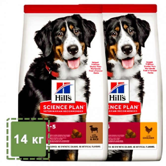 Все о корме hills: производитель, разновидности, отзывы