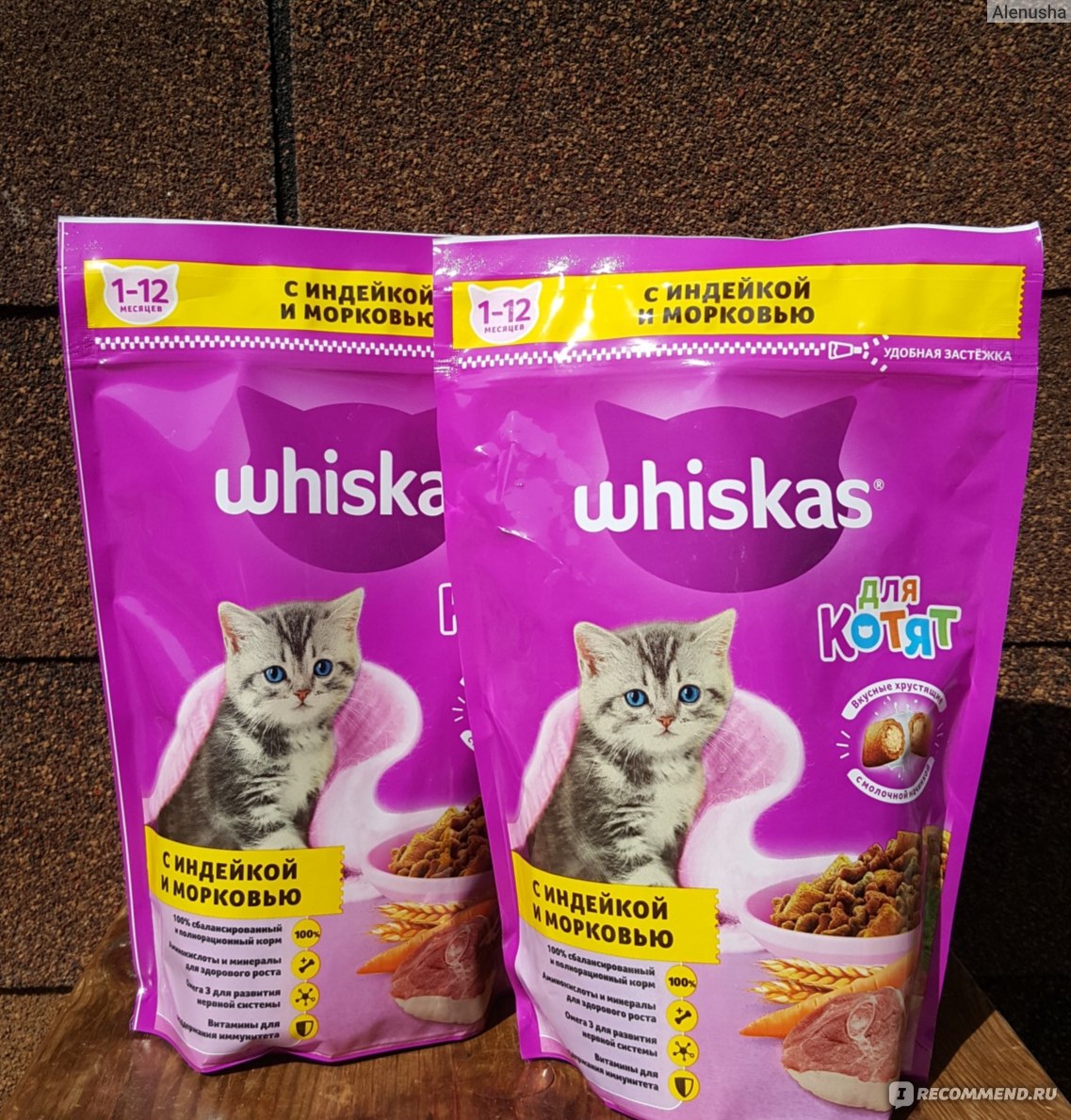Корм для кошек whiskas: отзывы и разбор состава - петобзор
