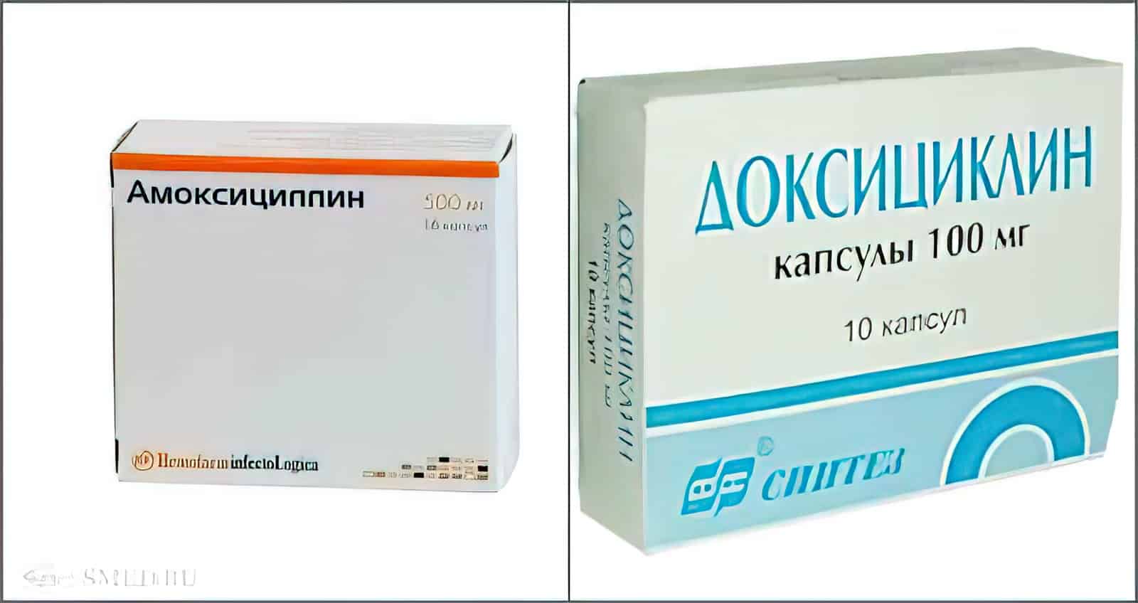 Какие антибиотики принимать при укусе кошки