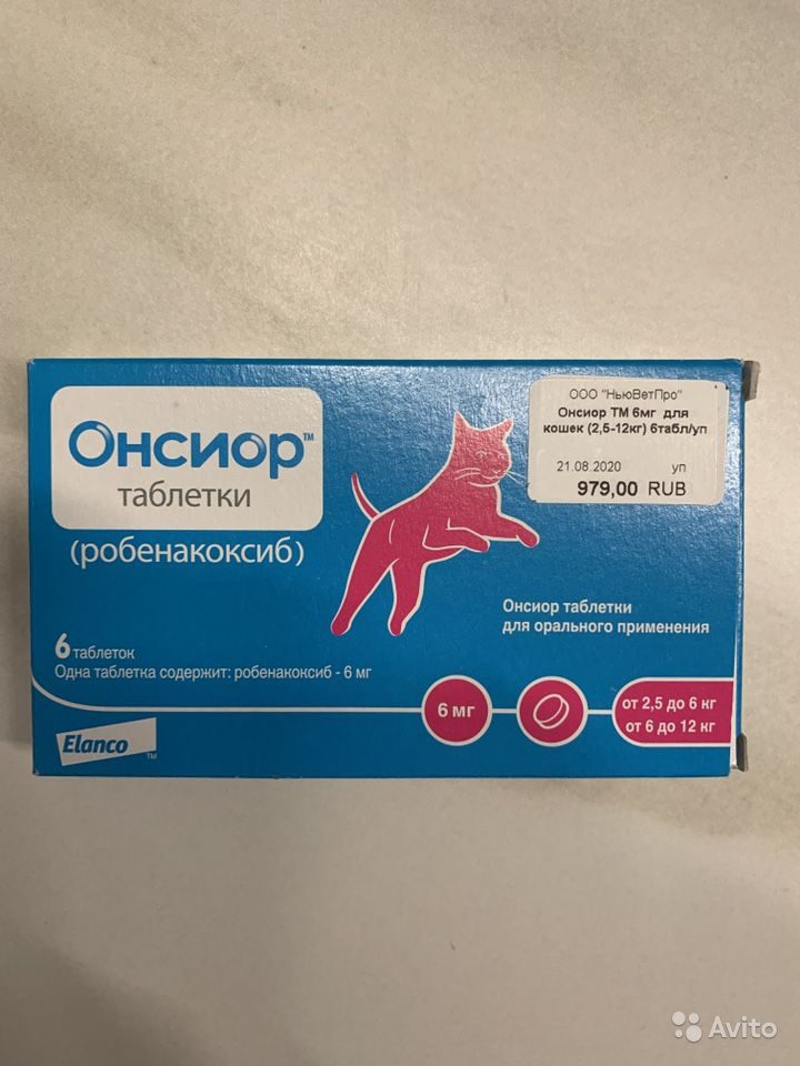 Онсиор для кошек – лекарство от боли