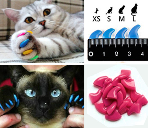 Антицарапки для кошек: отзывы, фото, как надеть :: syl.ru