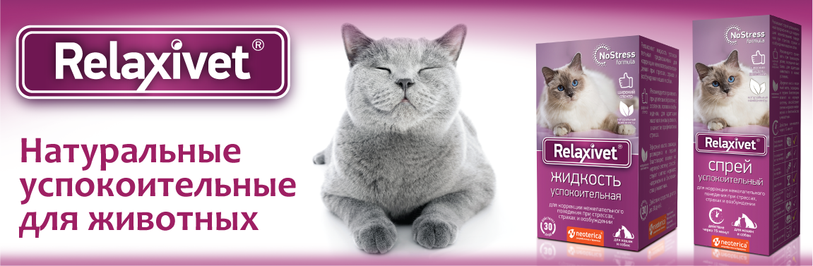 Какое успокоительное для кошек выбрать в домашних условиях? подробности +видео