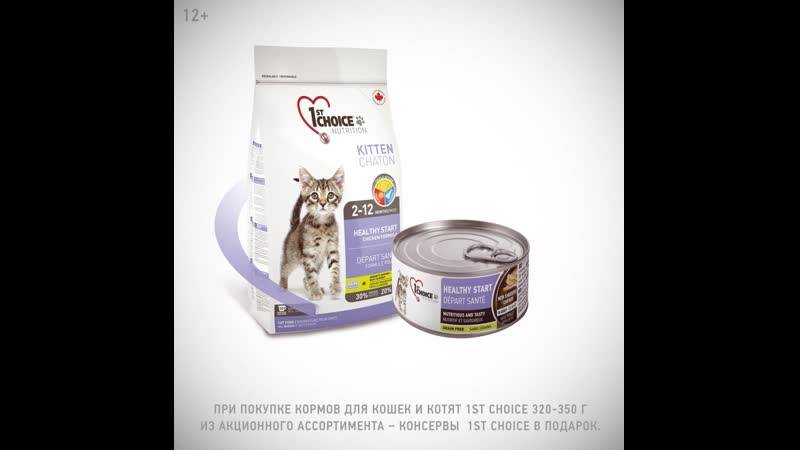 Корм чойс для кошек: плюсы, минусы и отзывы ветеринаров
