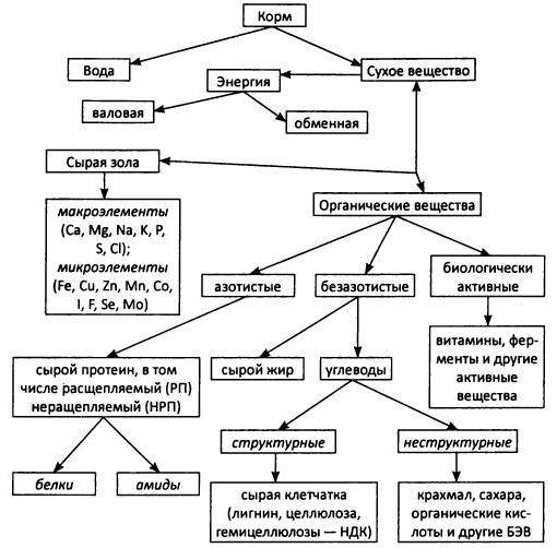 Рейтинг кормов для кошек
