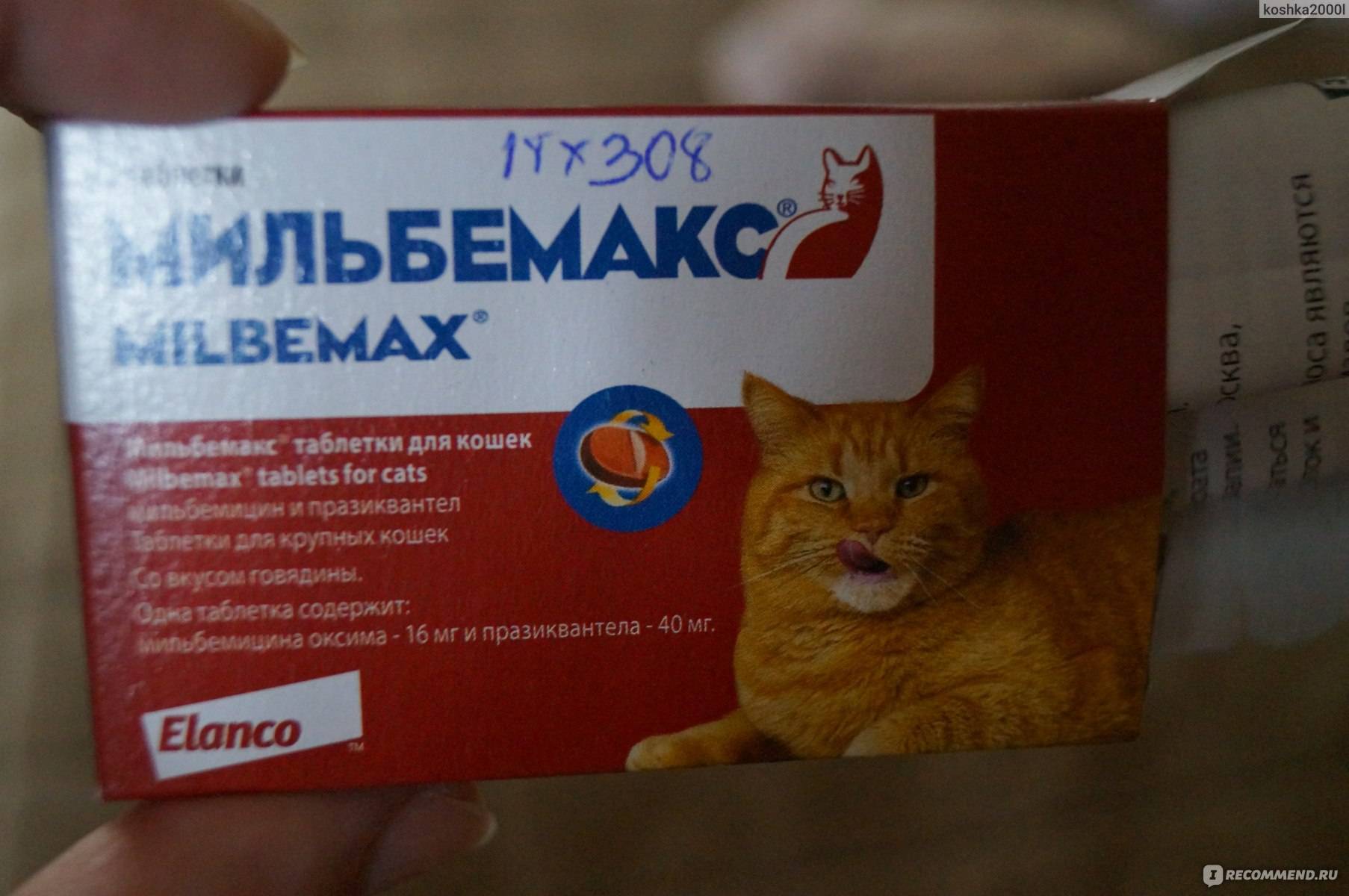 Лучшие аналоги препарата Мильбемакс для кота