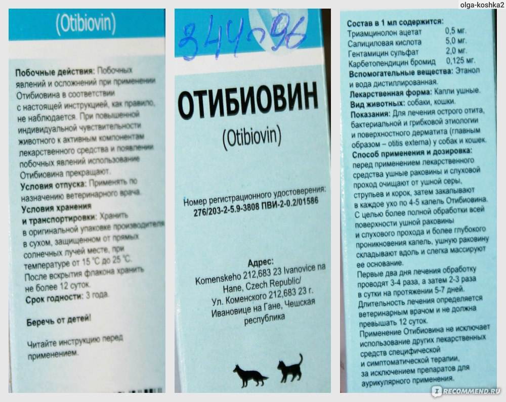 Инструкция по применению ушных капель отибиовин для собак и кошек: дозировка, схема лечения