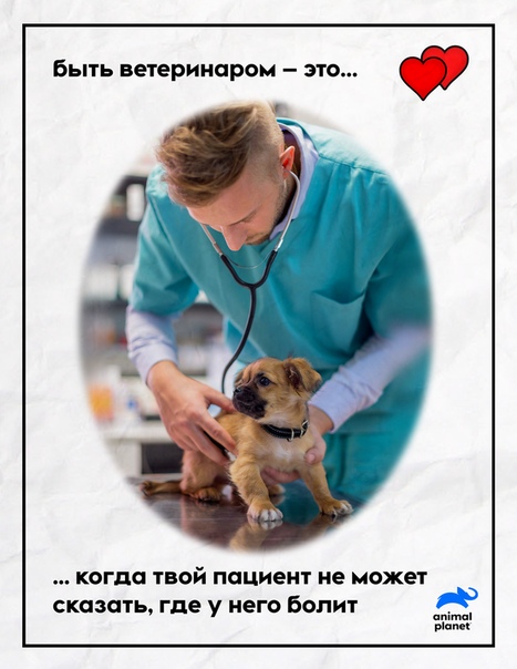 Профессии, связанные с биологией