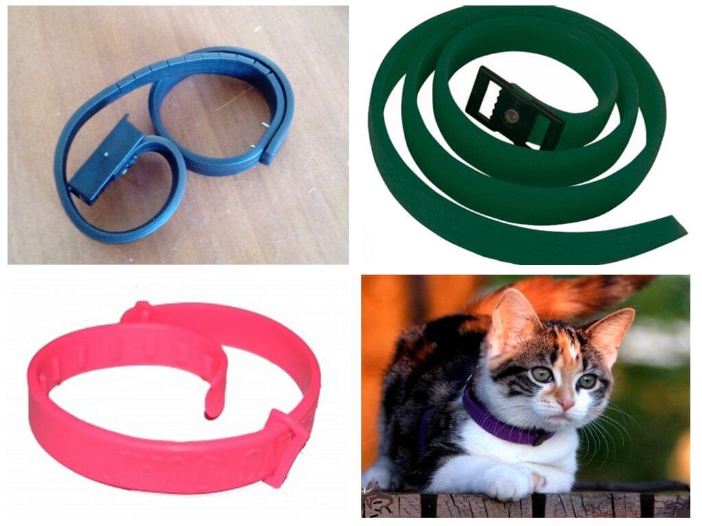 Ошейники от блох для котят