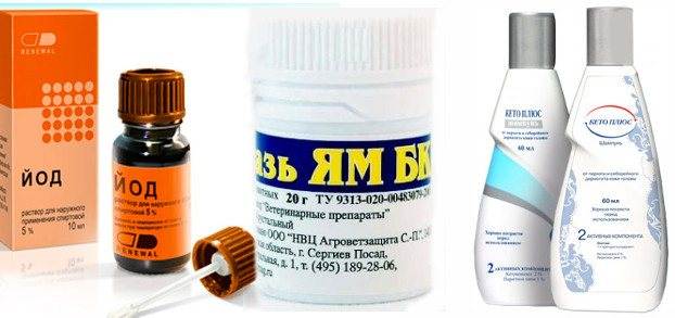 Розовый лишай