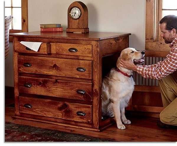 Как отучить собаку грызть мебель — средства для защиты