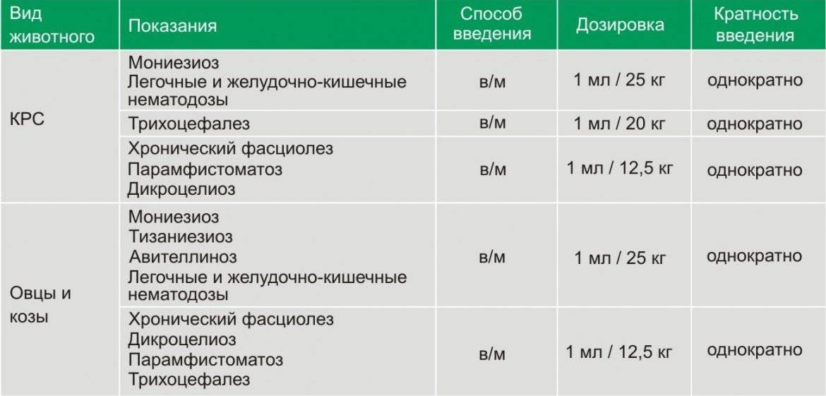 Ивермек для овец дозировка инструкция по применению. Антибиотики применяемые в ветеринарии для КРС. Ивермек для КРС.