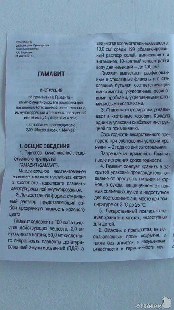 Гамавит кошке - как и куда колоть, дозировка, инструкция