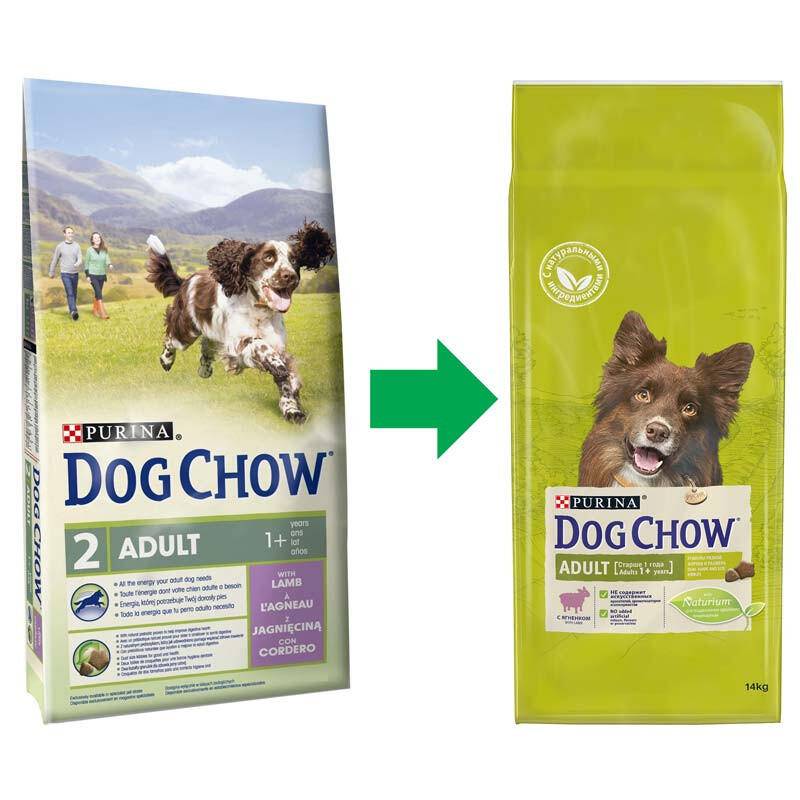 Дог чау: корм для собак и щенков крупных и мелких пород