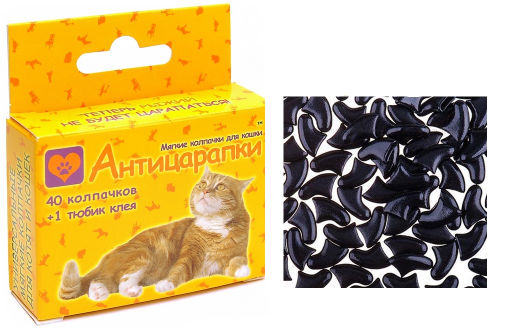 Накладки на когти (антицарапки) для кошек: польза и вред, размеры, как одевать и как снимать