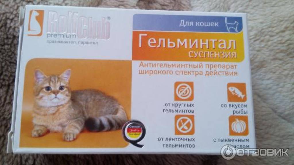Какие лекарства снижают эффективность противозачаточных таблеток