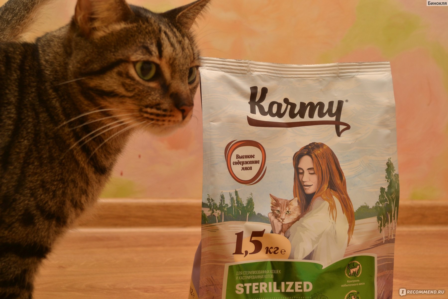 Корм для кошек mauricio («маурицио»): отзывы о нем ветеринаров и владельцев животных, его состав и виды, плюсы и минусы