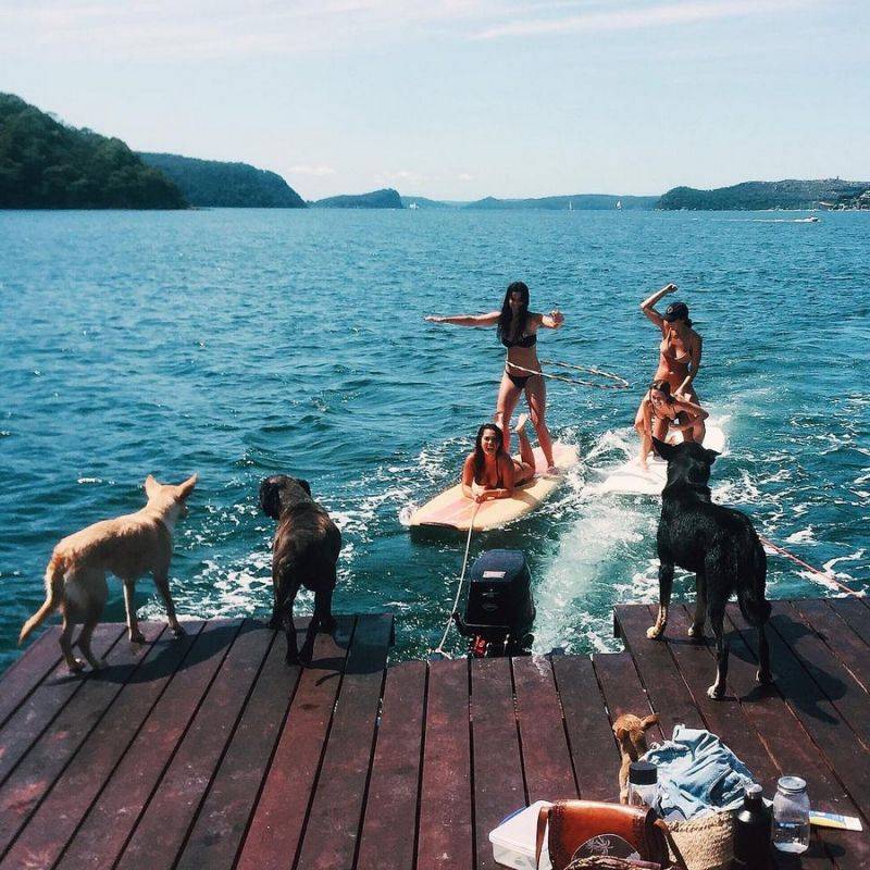 Куда поехать отдыхать с собакой на море, куда поехать с собакой на новогодние каникулы, отдых на море с собакой 2022