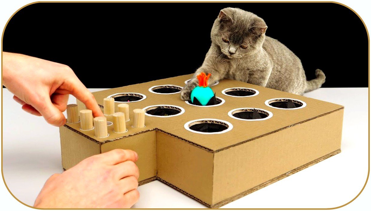 Самодельный кот. Игрушка для кошки. Развивающие игрушки для кошек. Игрушка кот. Игрушка «котенок».