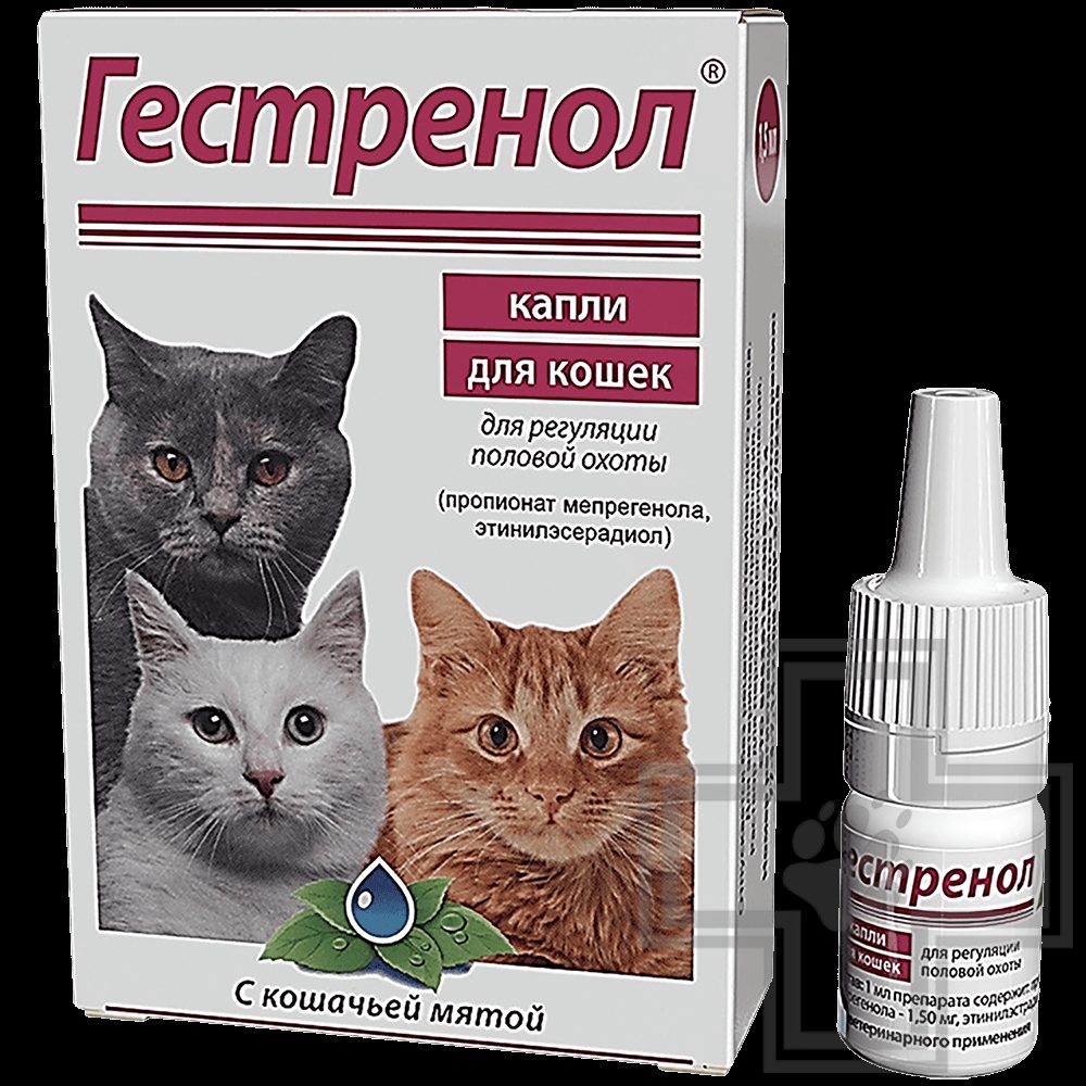 Гестренол – капли и таблетки для кошек и котов