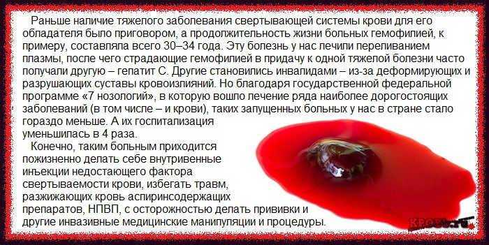 У кошки кровяные выделения при беременности, после родов и другие причины