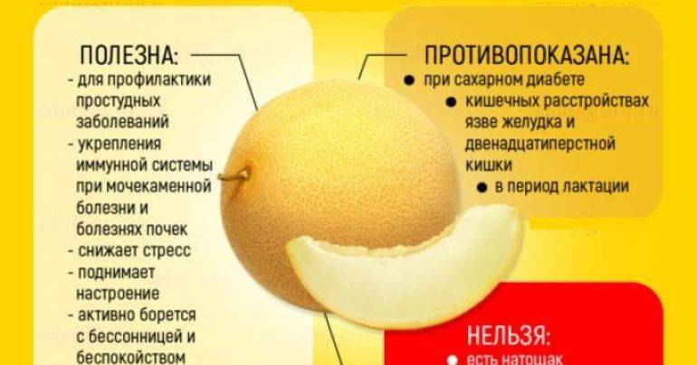 Какие фрукты можно давать попугаю | как приучить попугая к фруктам