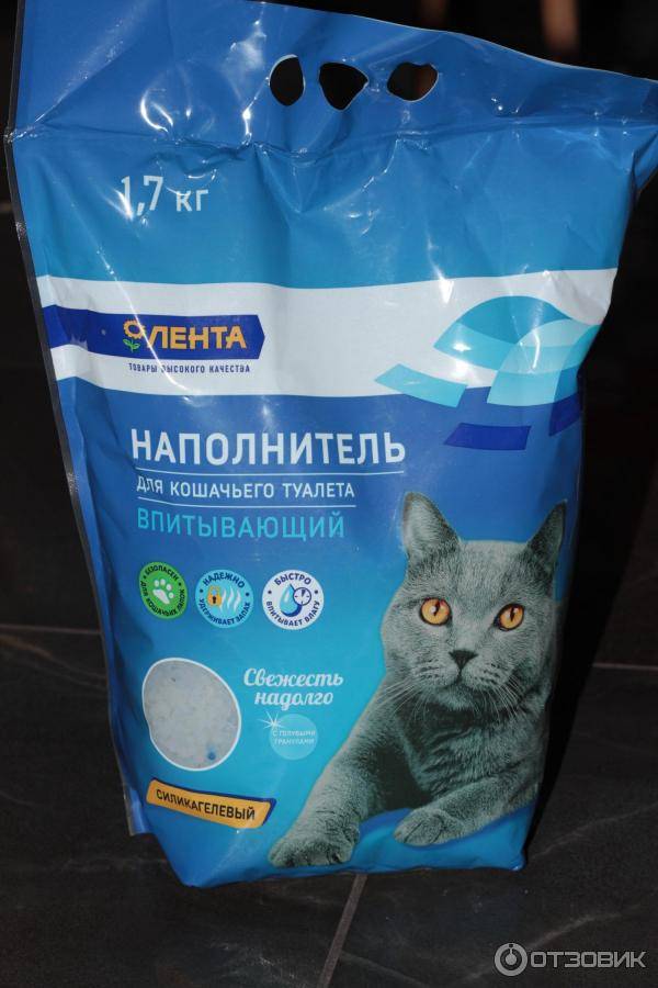 Кошка ест наполнитель для туалета.