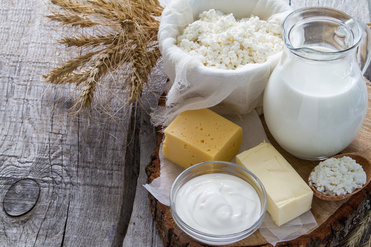 Можно ли крысам сыр и молочные продукты