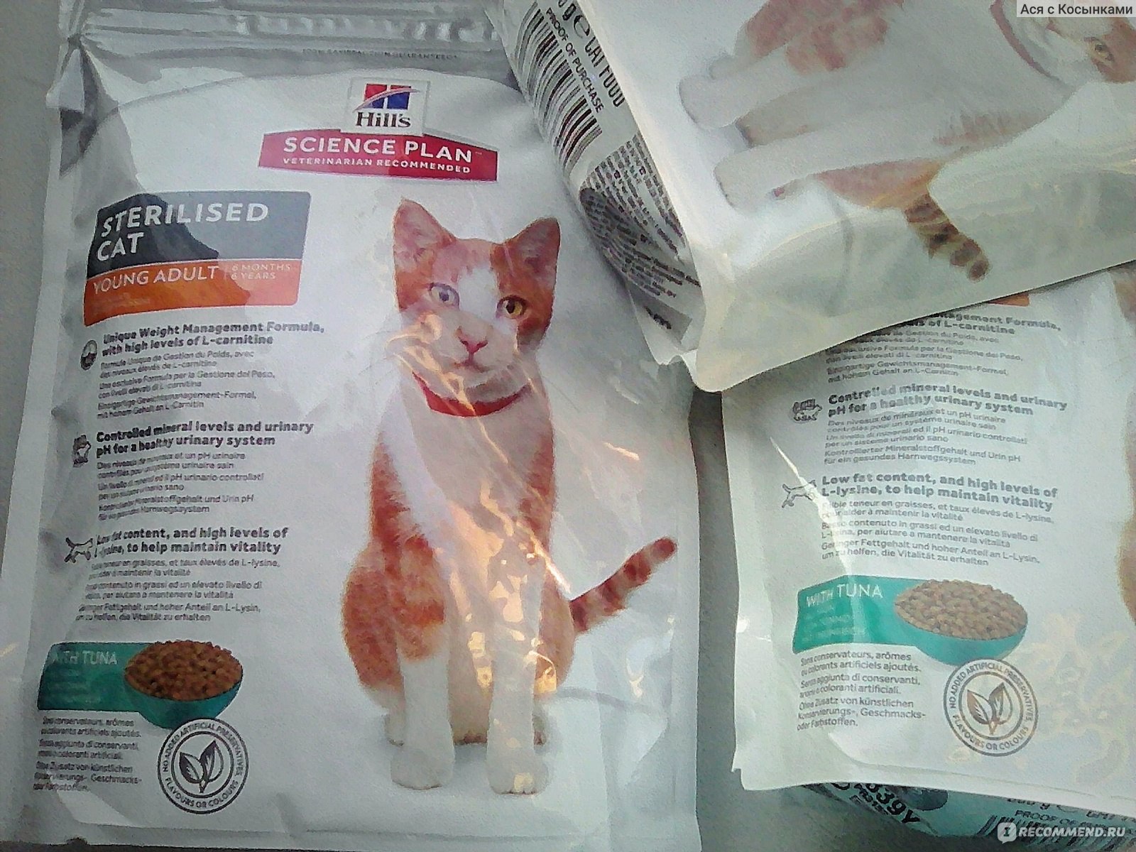 Корм для кошек феликс (felix): отзывы ветеринаров, состав, линейка продукции