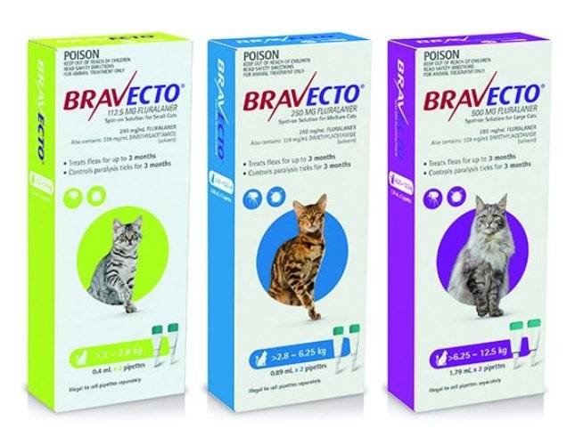 Бравекто для кошек массой тела 1,2-2,8 кг (инструкция по применению bravecto , дозы, показания и противопоказания)