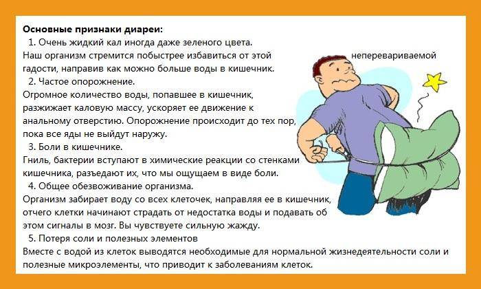 Диарея у собаки: лечение в условиях дома или клиники
