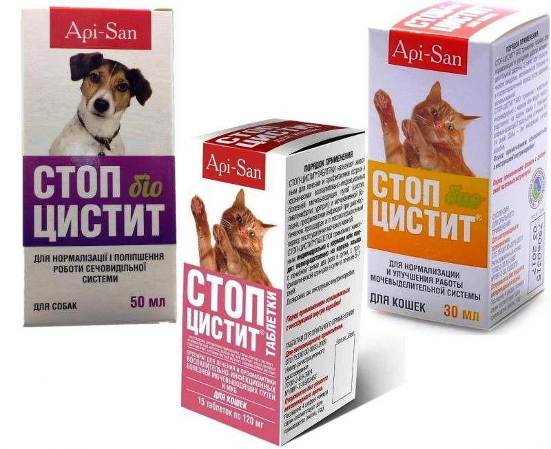 Стоп цистит для кошек и котов: инструкция по применению таблеток и суспензий, отзывы