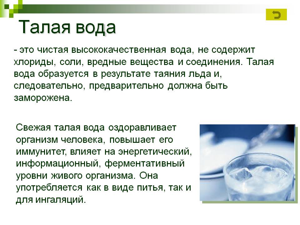 Что пьют хомяки