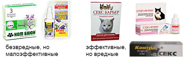 Причины и способы подавить агрессию кота и успокоить животное, если он бесится, мяукает, плачет и перед сном