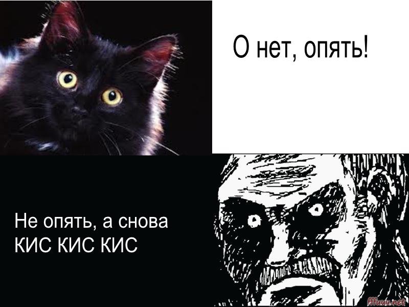 Почему кошки откликаются на «кис-кис»