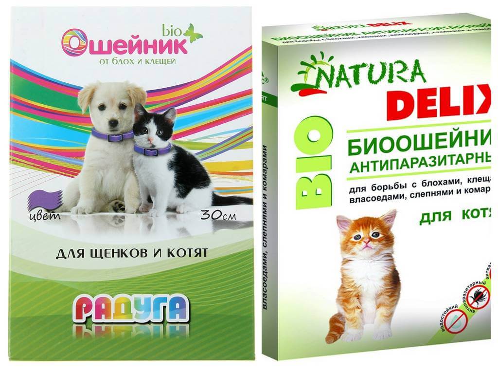 Ошейники от блох и клещей для кошек: самый полный обзор