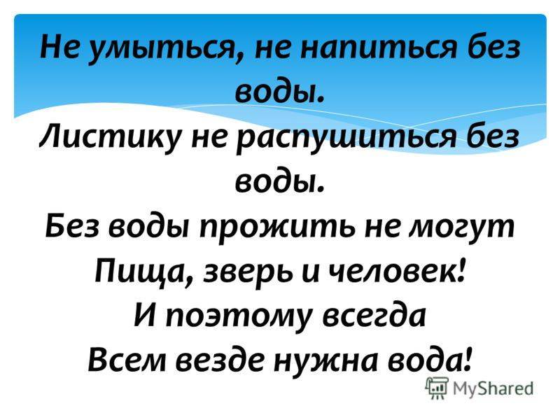 Шиншилла вялая. шиншилла не ест и не пьёт