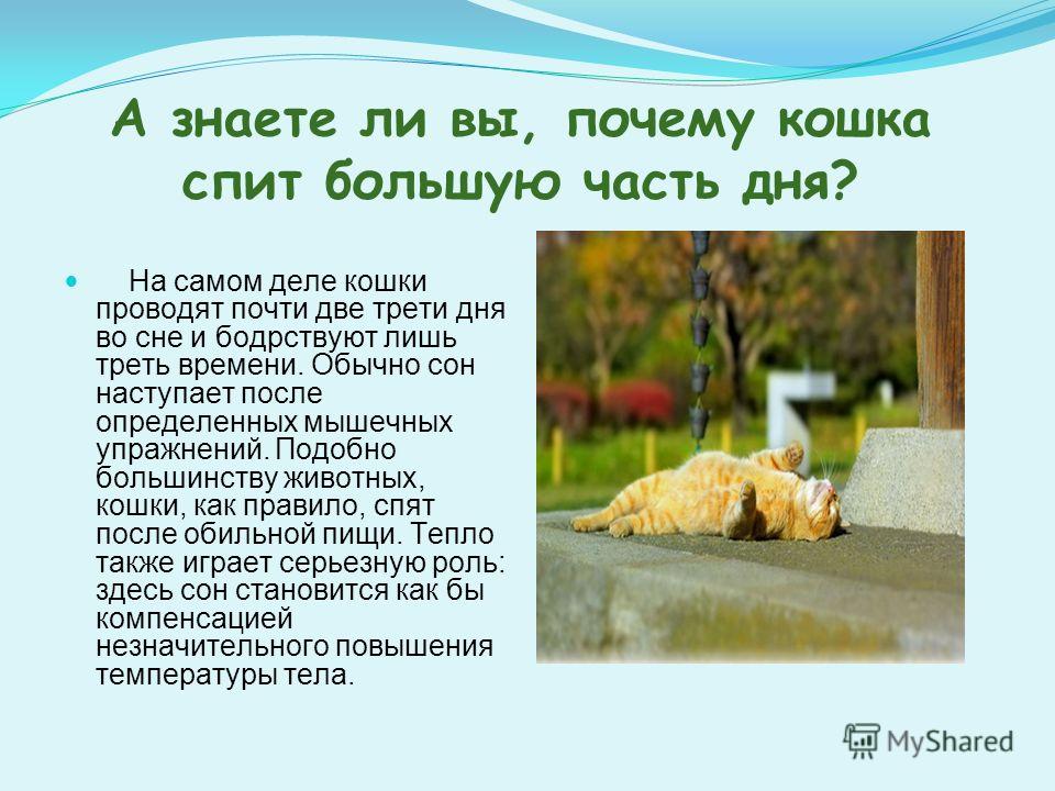 Болит голова и горит лицо